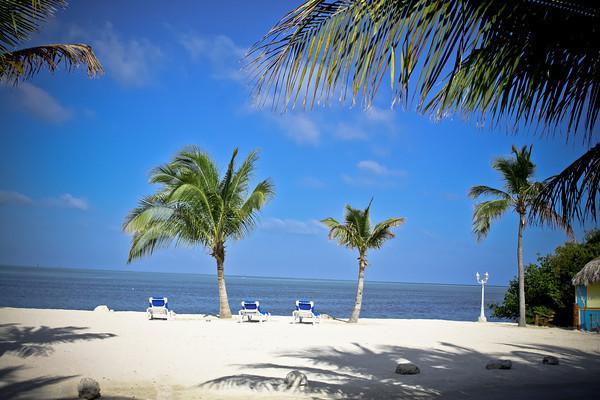 Coconut Cove Resort & Marina Islamorada Zewnętrze zdjęcie
